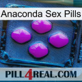 Anaconda Sex Pills 04